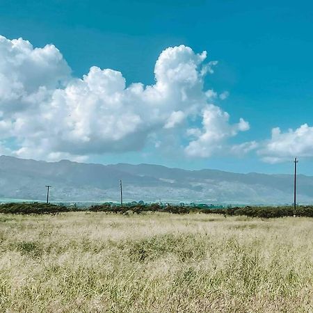 Cute Off Grid Glampsite With Wifi- 5 Min From Haleiwa Town Hotel Exterior foto