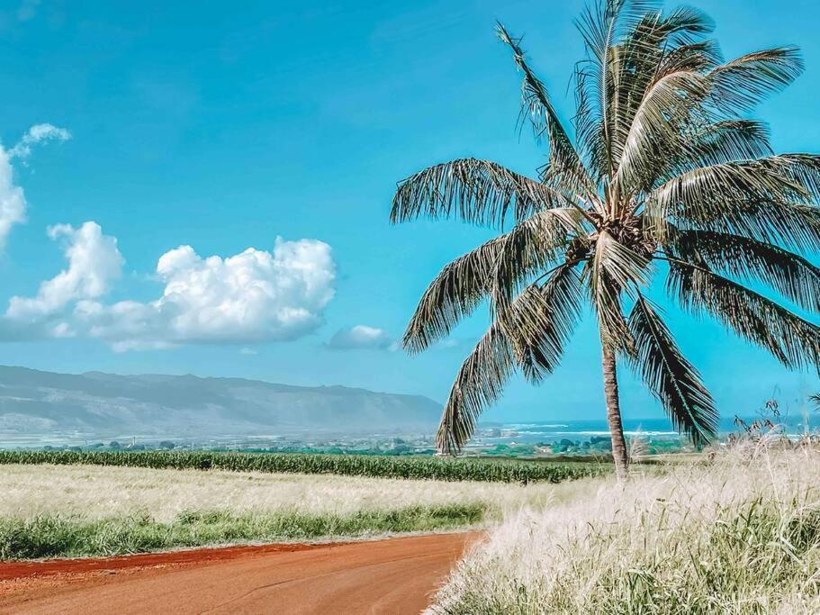 Cute Off Grid Glampsite With Wifi- 5 Min From Haleiwa Town Hotel Exterior foto