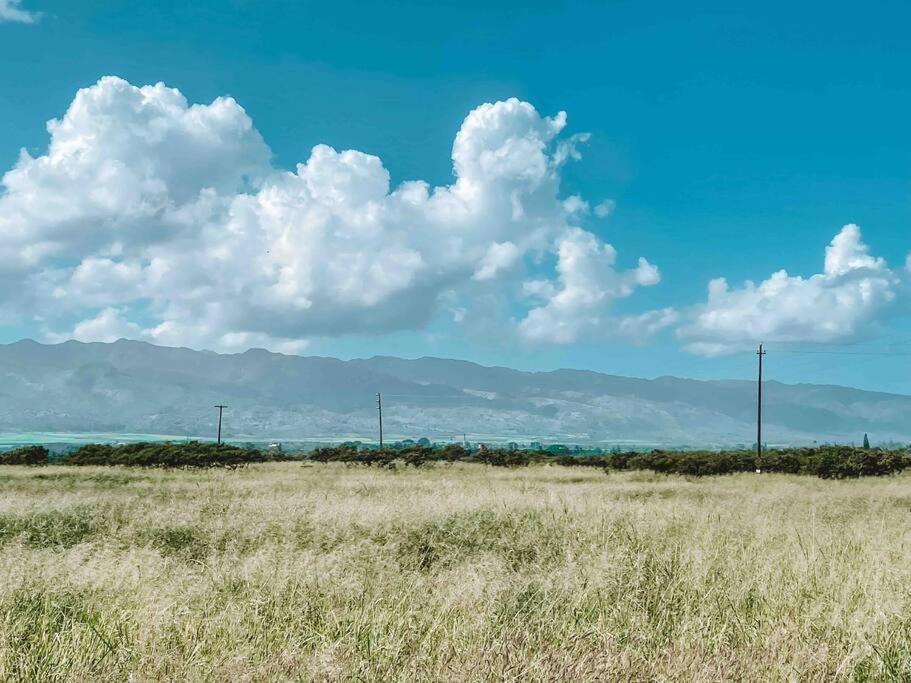 Cute Off Grid Glampsite With Wifi- 5 Min From Haleiwa Town Hotel Exterior foto